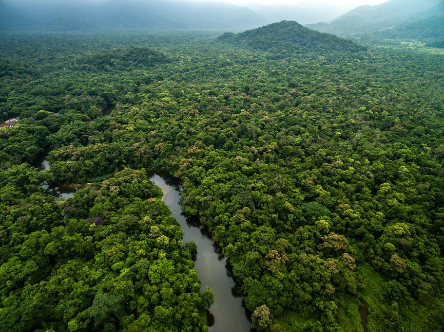 The Lush Jungles, Colombia